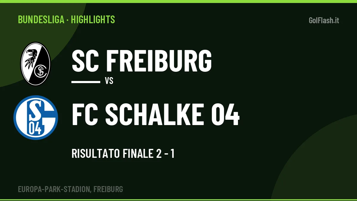 Highlights Bundesliga: SC Freiburg-FC Schalke 04 2-1 in video